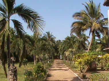 Ferienhaus in Diani Mombasa (Coast) oder Ferienwohnung oder Ferienhaus