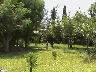 Ferienhaus in Diani Mombasa (Coast) oder Ferienwohnung oder Ferienhaus