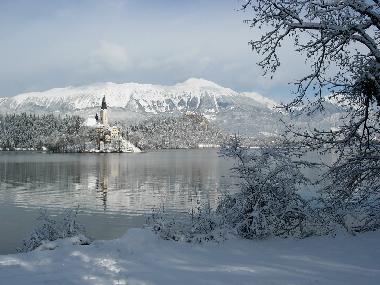 Ferienwohnung in Bled - Zgornje Gorje (Bled) oder Ferienwohnung oder Ferienhaus