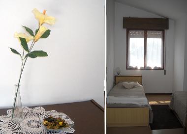 Ferienhaus in Tarcento (Udine) oder Ferienwohnung oder Ferienhaus