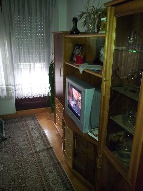 Ferienhaus in Ptuj (Ptuj) oder Ferienwohnung oder Ferienhaus