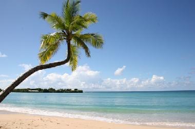 Ferienwohnung in Sainte-Anne (Martinique) oder Ferienwohnung oder Ferienhaus