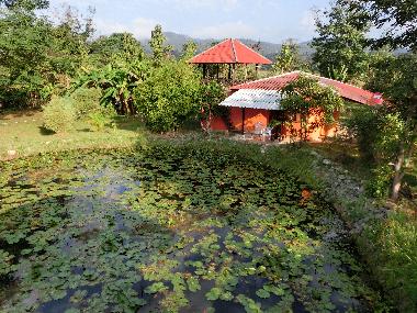 Ferienhaus in Pai (Mae Hong Son) oder Ferienwohnung oder Ferienhaus