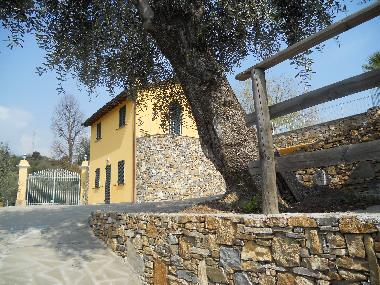 Villa in Diano Castello (Imperia) oder Ferienwohnung oder Ferienhaus