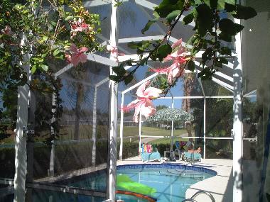 Privatpool und Patio
