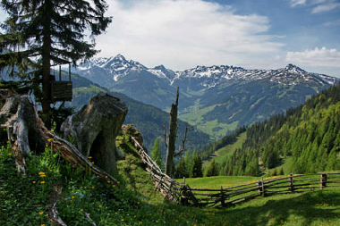 Panorama Wildschnau Tirol