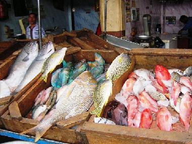 Fischmarkt Hurghada