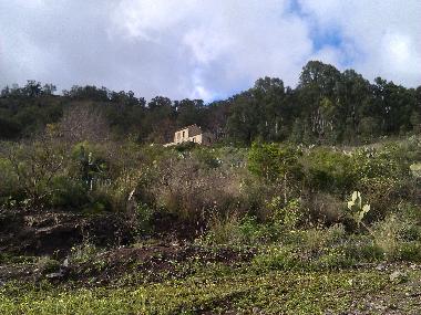 Villa in Teror (Gran Canaria) oder Ferienwohnung oder Ferienhaus