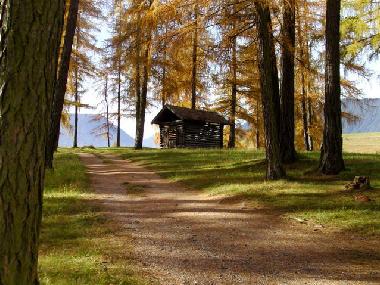 Ferienwohnung in Wildermieming (Tiroler Oberland) oder Ferienwohnung oder Ferienhaus
