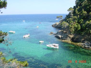 Ferienhaus in Cavalaire sur mer (Provence-Alpes-Cote d