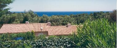 Ferienhaus in Cavalaire sur mer (Provence-Alpes-Cote d