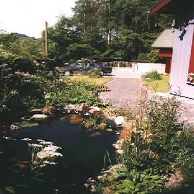 Gartenteich