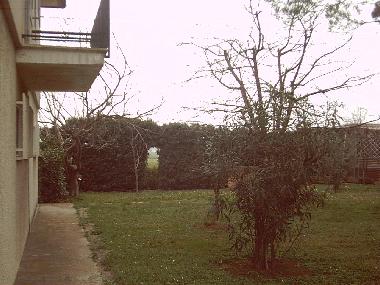 Ferienwohnung in Savignano sul Rubicone (Rimini) oder Ferienwohnung oder Ferienhaus