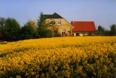 Ferienwohnung in Gl�cksburg (Ostsee-Festland) oder Ferienwohnung oder Ferienhaus