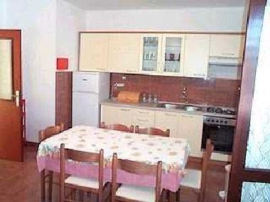 Ferienwohnung in Kali (Zadarska) oder Ferienwohnung oder Ferienhaus