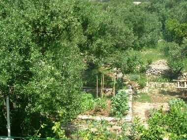 Ferienwohnung in Igrane (Splitsko-Dalmatinska) oder Ferienwohnung oder Ferienhaus