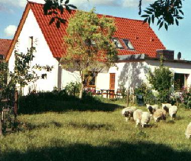 Die Sonnenseite des Hauses