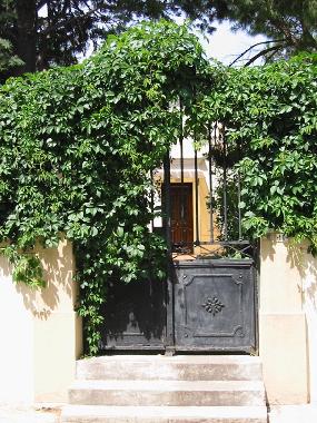 Ferienhaus in Pomrols (Hrault) oder Ferienwohnung oder Ferienhaus