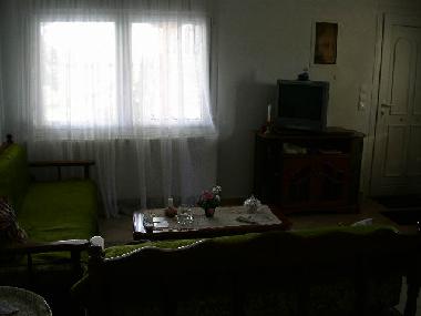 Wohnzimmer mit Schlafgelegenheit