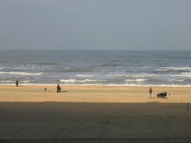 Ferienwohnung in koksijde (Flandern) oder Ferienwohnung oder Ferienhaus