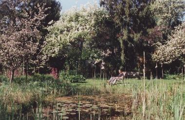 Ferienwohnung in Wisch (Ostsee-Festland) oder Ferienwohnung oder Ferienhaus