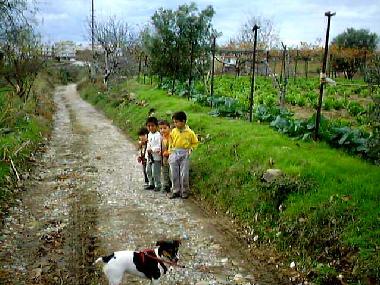 Spaziergang im Fr�hjahr, l�ndliche Umgebung, sehr nette Menschen, es gr�nt und bl�ht �berall. Die Ki
