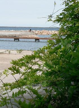 Ferienhaus in Marseillan (H�rault) oder Ferienwohnung oder Ferienhaus
