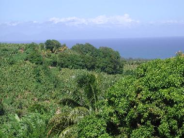 Der Blick auf das Meer und die Nachbarinsel Domenica