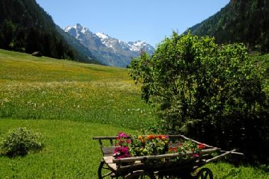 Blick vom Garten Haus Geigenkamm