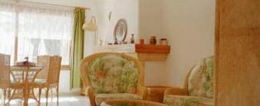 freundlicher Wohn- und Essbereich