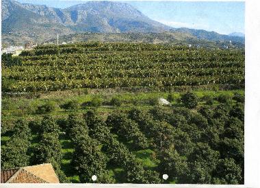 Ferienwohnung in Mahmutlar (Antalya) oder Ferienwohnung oder Ferienhaus