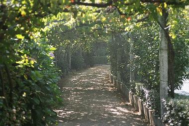 Ferienhaus in Cinfaes (Norte) oder Ferienwohnung oder Ferienhaus