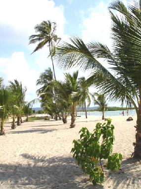 Beach in front of the apartment