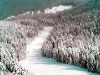 Pension in smolyan (Smolyan) oder Ferienwohnung oder Ferienhaus