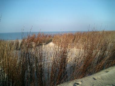 Nordseestrand