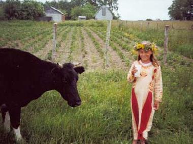 Pension in Holmy (ehem. M�lsen) (Kaliningradskaya Oblast) oder Ferienwohnung oder Ferienhaus