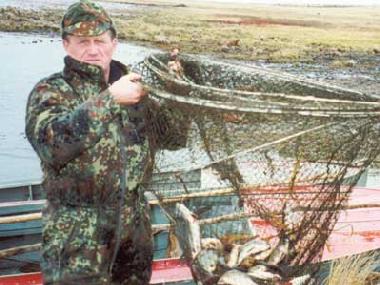 Pension in Holmy (ehem. M�lsen) (Kaliningradskaya Oblast) oder Ferienwohnung oder Ferienhaus