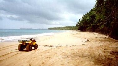 Ferienwohnung in las terrenas (Samana) oder Ferienwohnung oder Ferienhaus