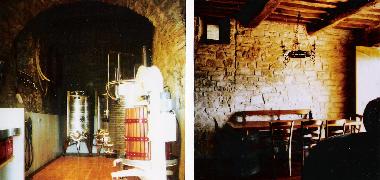 Unser Weinkeller und Verkostungsraum