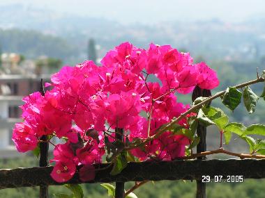 Ferienwohnung in Cikcilli (Antalya) oder Ferienwohnung oder Ferienhaus