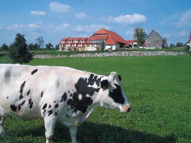 Ferienwohnung in Ravensburg (Bodensee) oder Ferienwohnung oder Ferienhaus