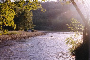 Pension in Pamiers (Ari�ge) oder Ferienwohnung oder Ferienhaus