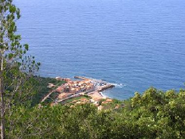 Ferienwohnung in VALDEMOSSA (Mallorca) oder Ferienwohnung oder Ferienhaus