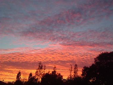 Ferienhaus in Nr.Saumur (Vende) oder Ferienwohnung oder Ferienhaus