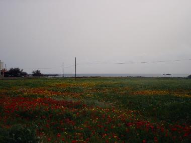 Ferienhaus in favignana (Trapani) oder Ferienwohnung oder Ferienhaus