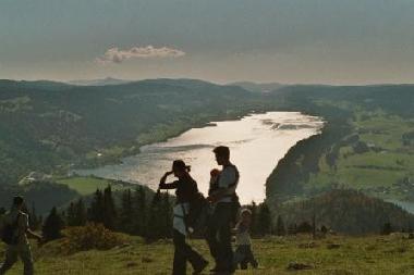 See Lac de Joux