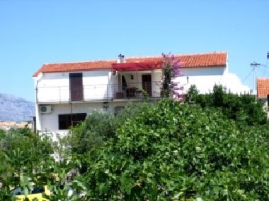 Ferienwohnung in Sucuraj, island of Hvar (Splitsko-Dalmatinska) oder Ferienwohnung oder Ferienhaus