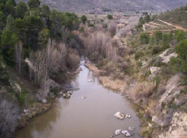 Pension in Lorcha/l'Orxa (Alicante / Alacant) oder Ferienwohnung oder Ferienhaus