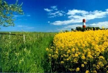 typisches Landschaftsbild mit Leuchtturm