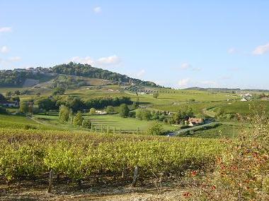 Ferienhaus in SANCERRE (Centre) oder Ferienwohnung oder Ferienhaus